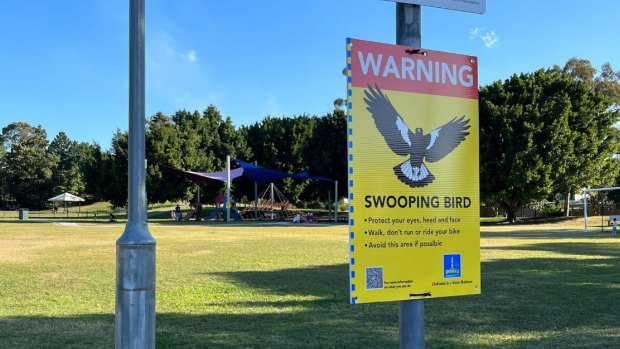 New swooping bird signs introduced in Brisbane parks.