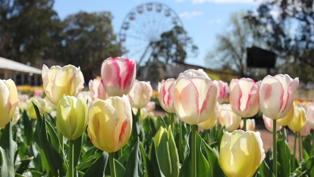 Spring is on the way, and it's set to be a warm one after a dry winter.