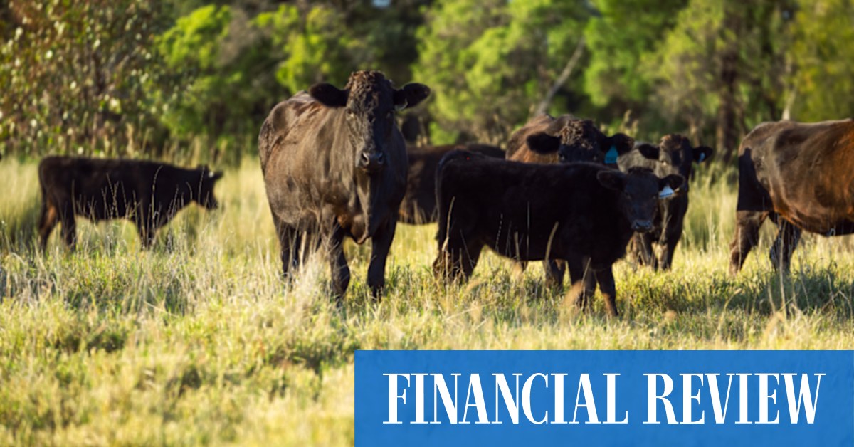 On hold: AACo douses dividend hopes in 14-year drought - Vimarsana News