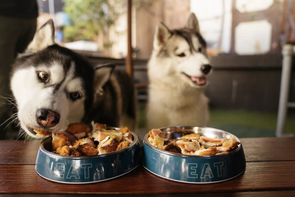 Our furry friends need to eat, too. 