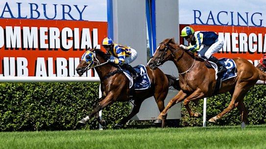 Racing returns to Albury on Tuesday.