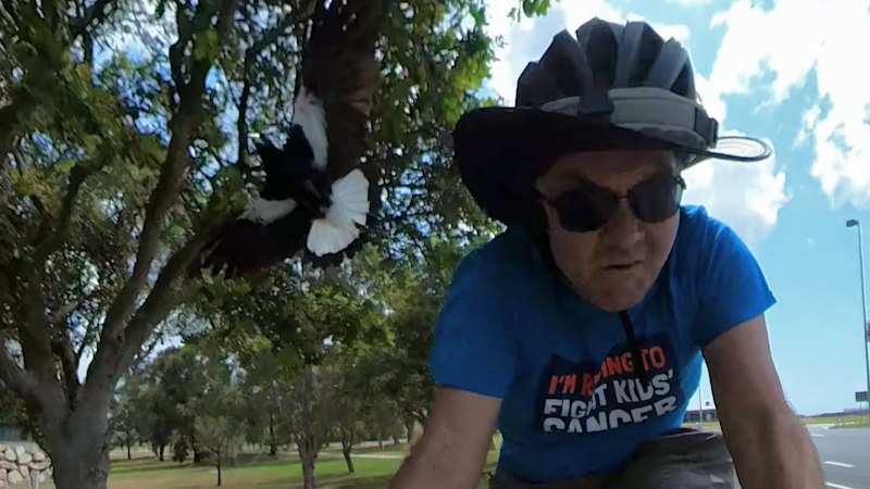 It’s swooping season. And on this path near the Brisbane Airport, the Guardian of Viola Place lurks