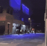 Love Machine forced to close after month of violence
