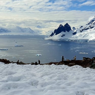 Danco Island last year, where the author struggled through knee-deep snow.