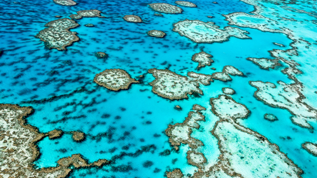 Return of El Nino spells trouble for Great Barrier Reef coral-bleaching risk