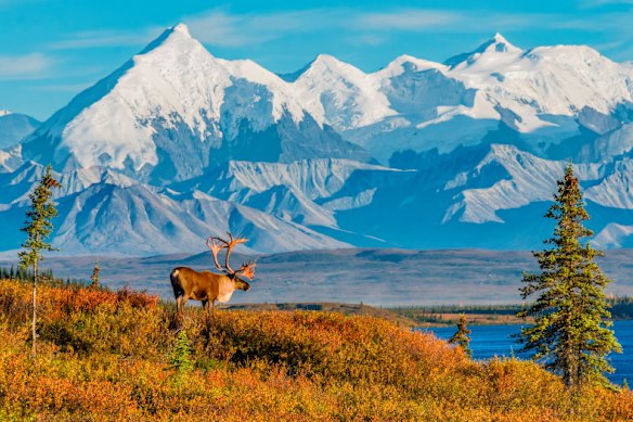 Alaska invites you to slow down, with mirror-like waters and snow-capped peaks on a journey designed for deeper connection. 