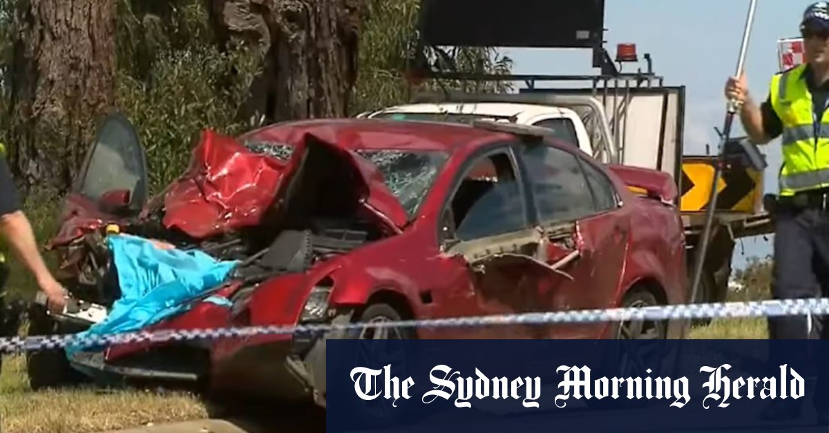 Best thing since 'sliced bread' to help reduce car accidents in NSW - Vimarsana News