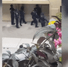 GIF: Police raid the home of Annalouise Spence.