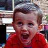 ‘Real risk of harm’ to William Tyrrell foster-parents: court
