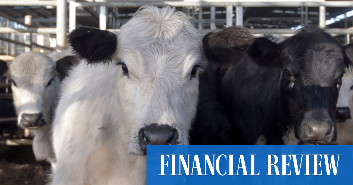 China limits beef imports to protect local farmers