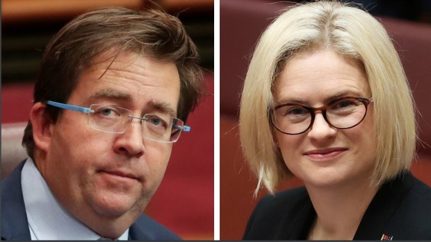 Senators James McGrath and Amanda Stoker are in a hard-fought battle for the top spot on the Queensland LNP senate ticket. 