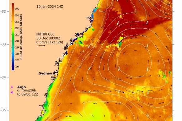 Warm water off the NSW coast contributed to the record dew point.