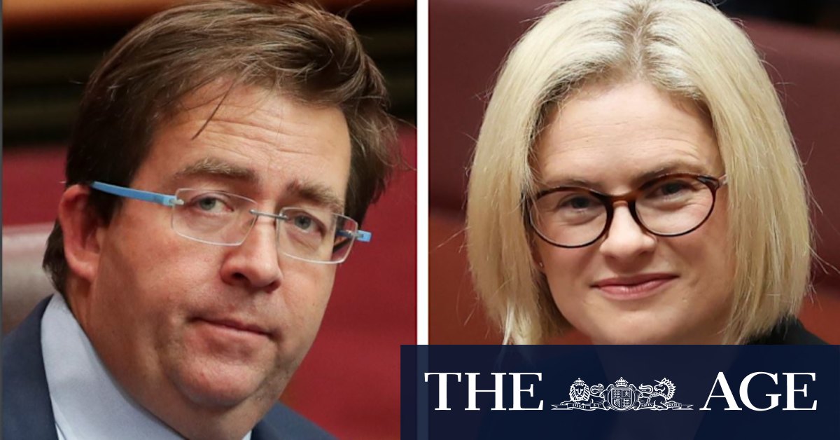 'Fight for the heart of the party': Why the LNP's Senate showdown matters - Vimarsana News