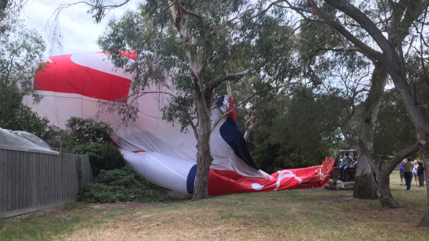 The hot air balloon went into a backyard.