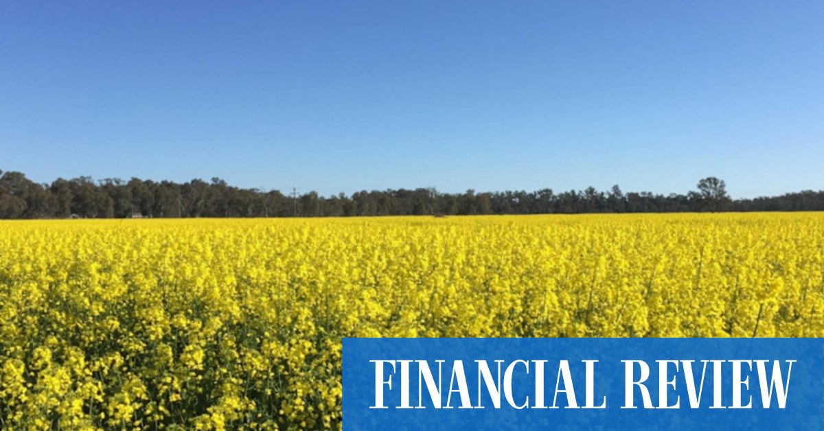 'Drought-proof' Murray River powerhouse to tempt local growers - Vimarsana News