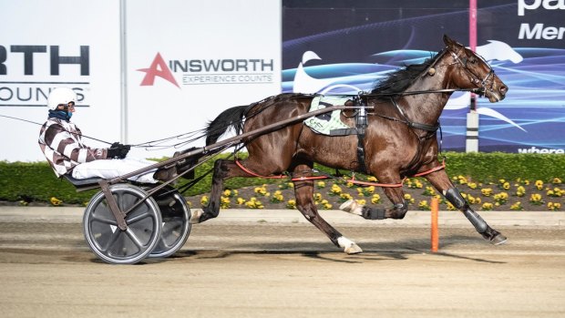 The 3yo Breeders Challenge Blue winner Im Bruce Almighty, trained and driven by David Hewitt, is expected to be a contender for Harness Racing NSW's new million-dollar series.
