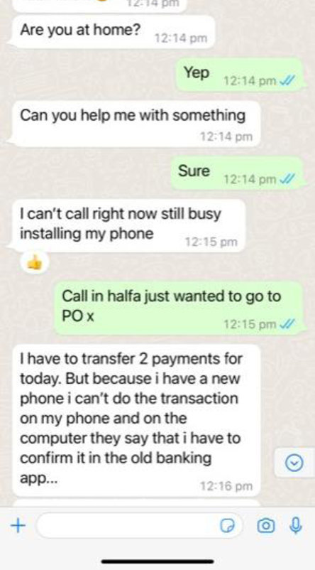 Text messages sent to scam victim Nina Merrilees.