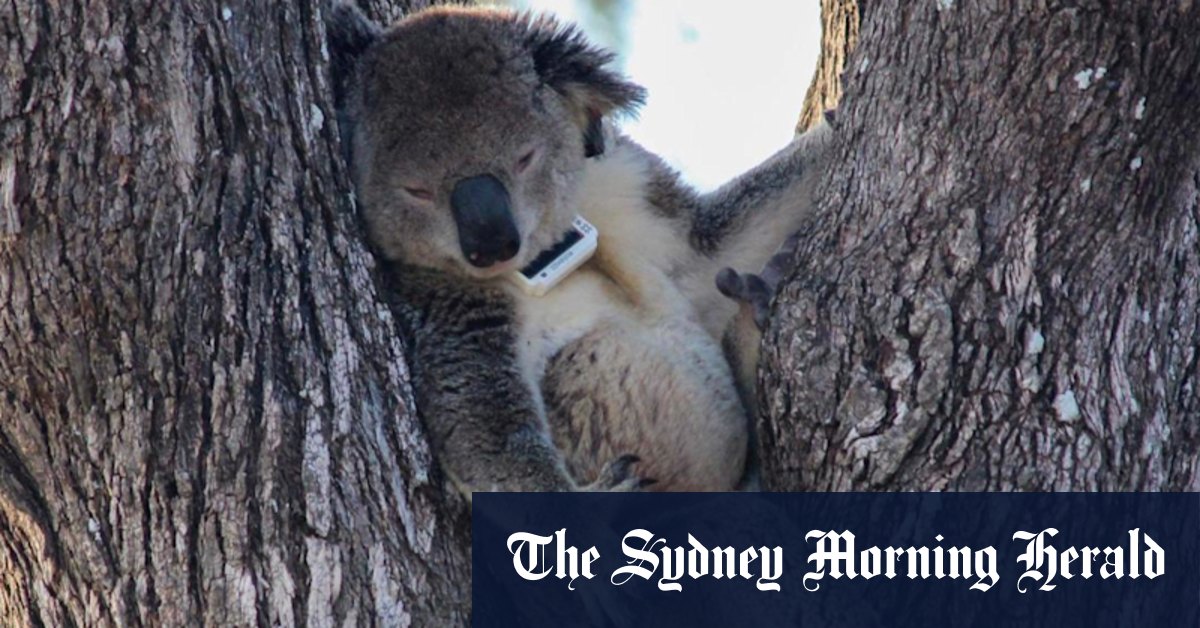 Australian agricultural tech is helping save endangered species - Vimarsana News