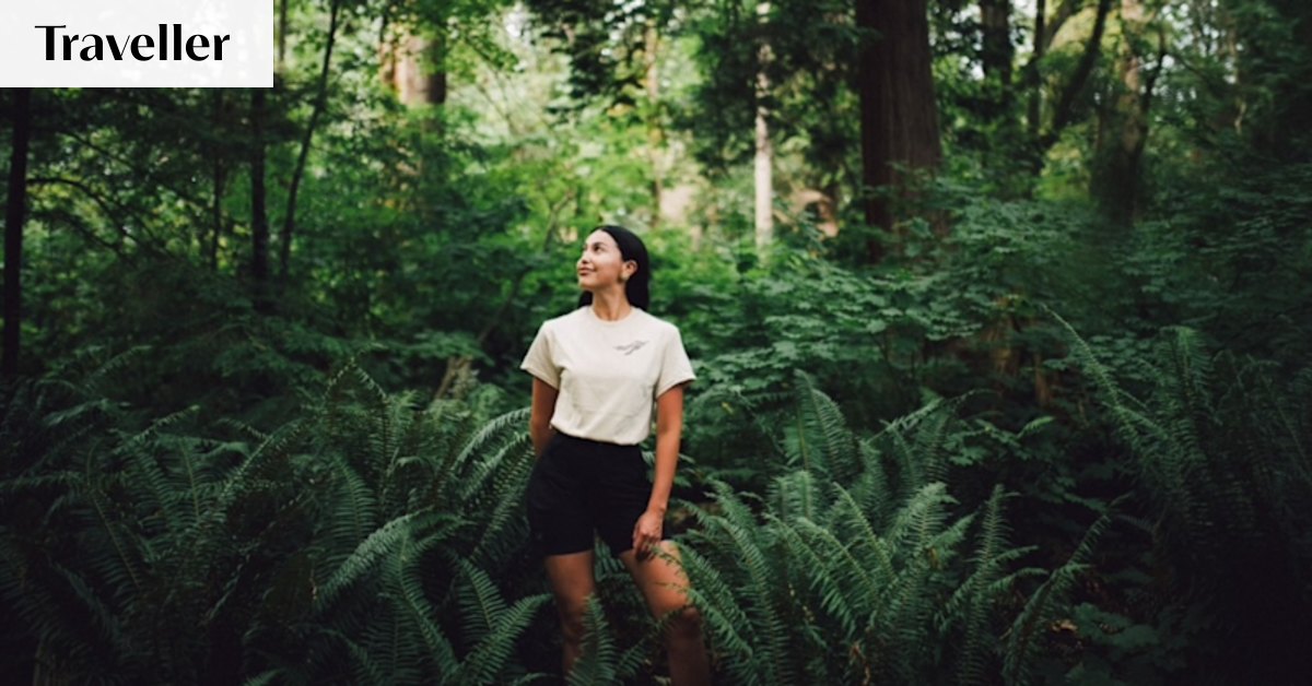 Forgotten forest secrets in Canada’s greenest city