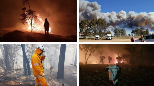 Queensland fires raged on the NSW/Queensland border last week.
