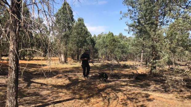 Police dogs were working closely with other officers to help find Allecha Boyd's grave.