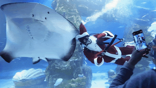 Christmas around the world.