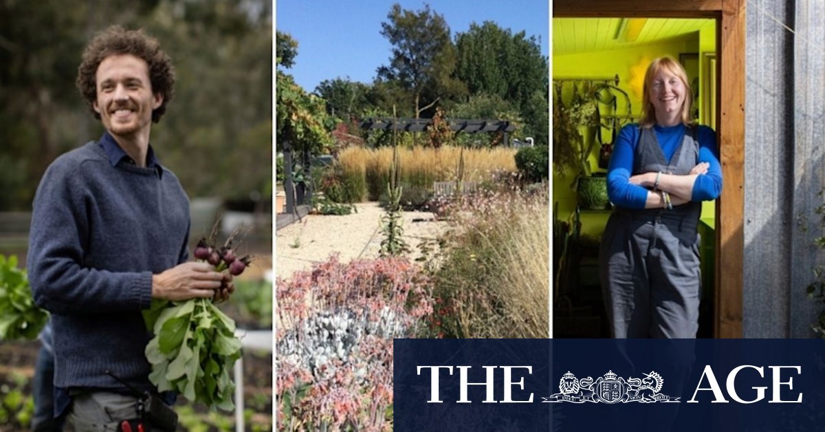 Six top gardeners share their new year's resolutions for 2022 - Vimarsana News