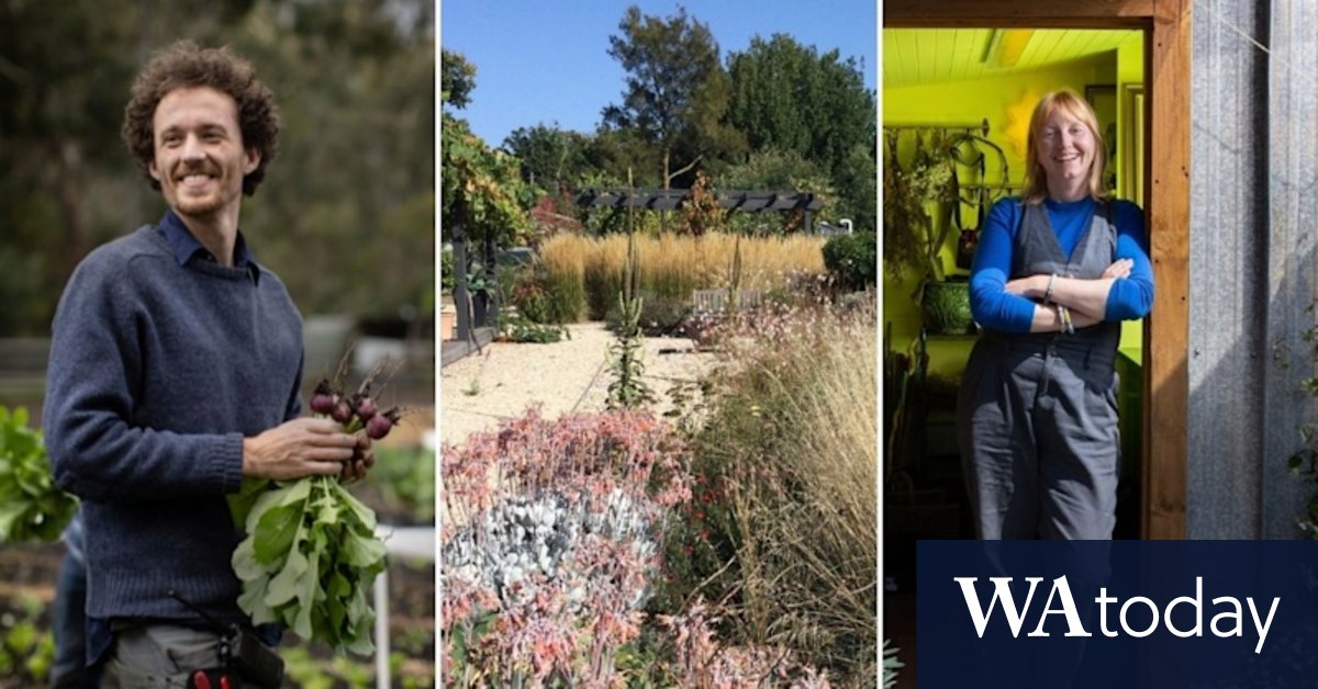 Six top gardeners share their new year's resolutions for 2022 - Vimarsana News
