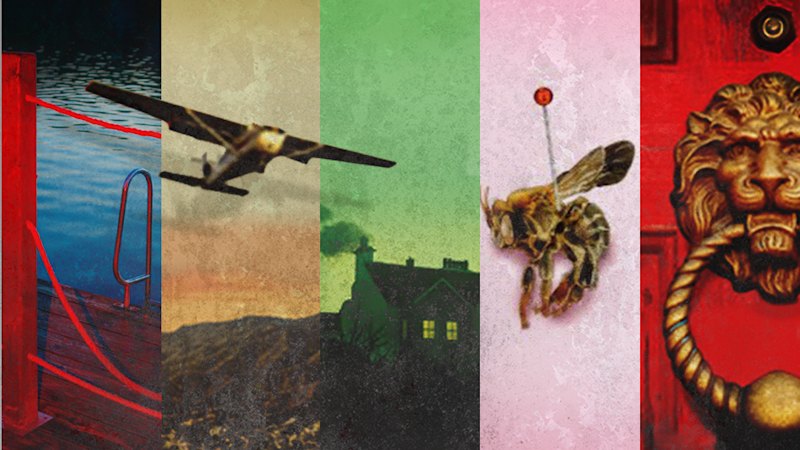 Marie Kondo, but for murder: Five addictive new crime novels to read (australia) — SMH