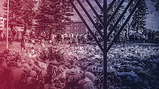 In a private poll, 48 per cent of voters said they would support a royal commission into antisemitism in the wake of the Bondi terror attack.