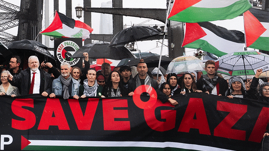 Who was in the frontline at the pro Palestine protest in Sydney?