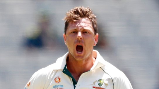 James Pattinson was in red-hot form on day four.