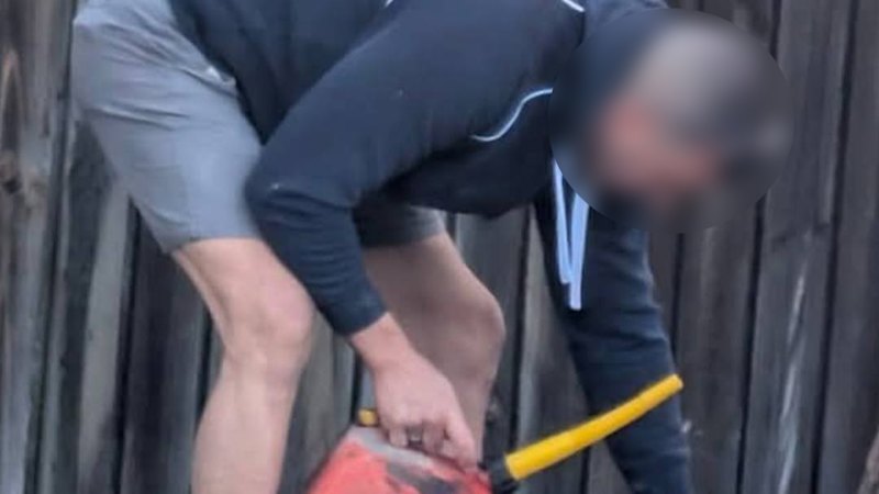 Crackdown on tree poisoning as Sydney council takes alleged vandal to court