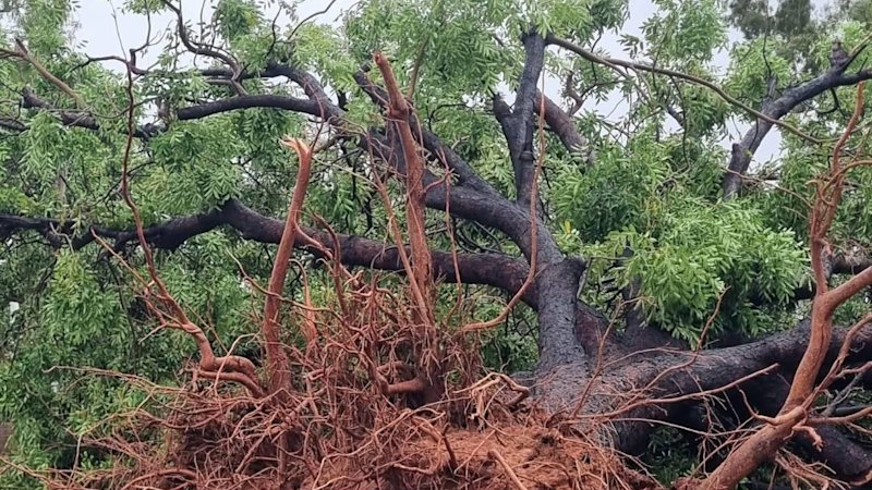 Ex-tropical cyclone heads south as North West communities begin the cleanup