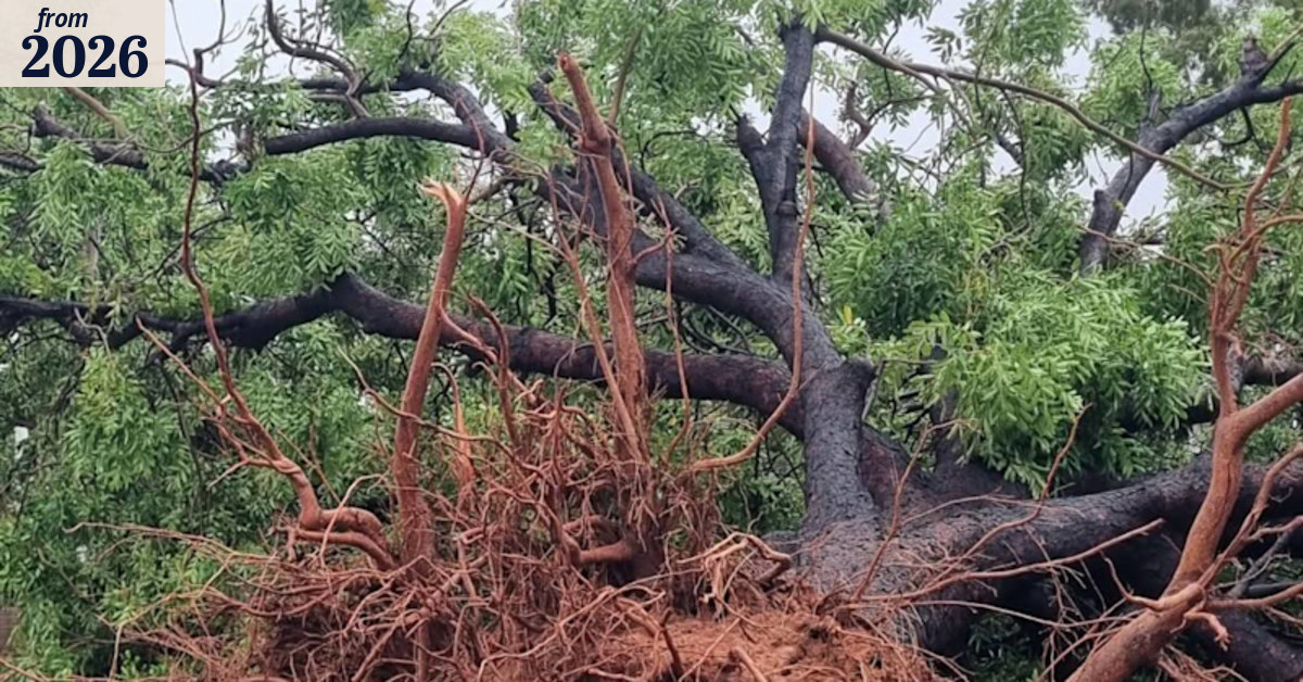 Western Australia’s top destinations mopping up after Tropical Cyclone ...