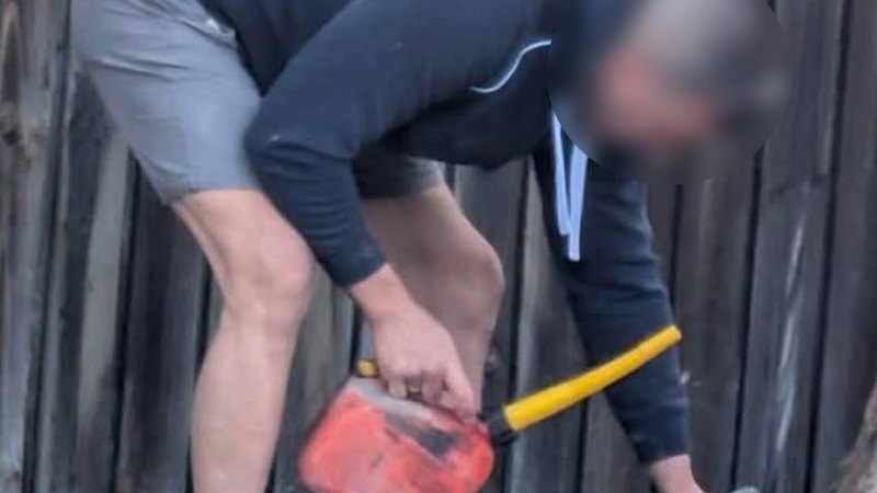 A petrol can, a drill and six dead trees: Sydney tree vandal avoids conviction