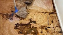 Floor that hadn’t been mopped in 10 years gets a deep clean.