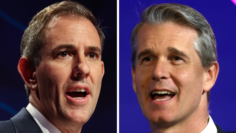 Andrew Charlton subs in for treasurer's tax campaign