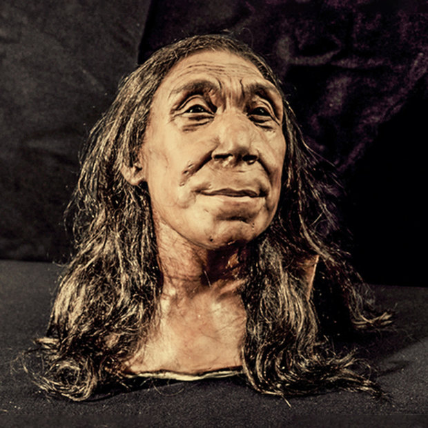 The recreated head of Shanidar Z, based on 3D scans of the reconstructed skull, made by the Kennis brothers for the Netflix documentary Secrets of the Neanderthals.