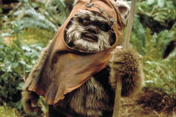 Wicket the Ewok in Return of the Jedi.