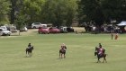 Polo watchers were treated to twin pink-wrapped cars at Scone: a Range Rover belonging to Packer, a G-Wagon belonging to Bates.