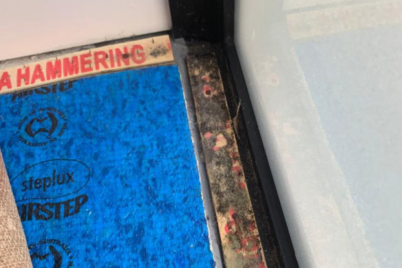 Mould beneath the carpet in Lee Lits’ apartment
