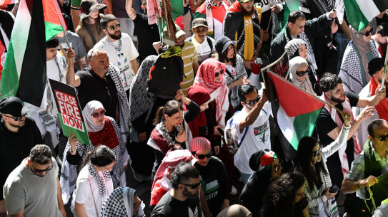 A pro-Palestine protest at Hyde Park in Sydney on Sunday. Police made one arrest at the rally, but praised the conduct of demonstrators.