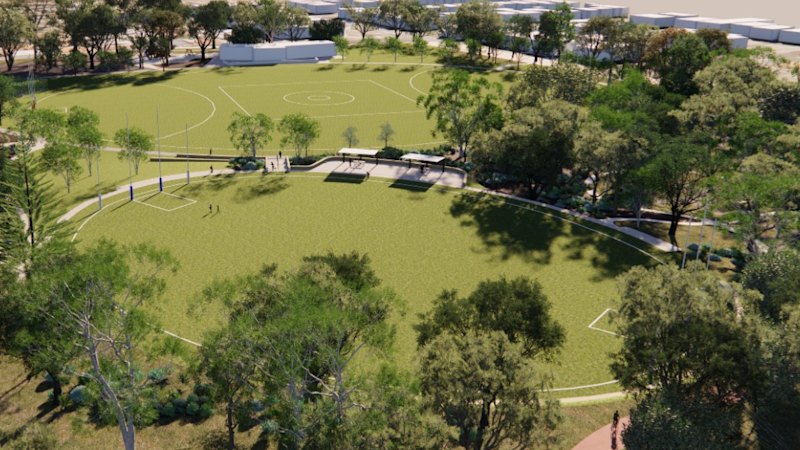 Fremantle councillors lament nasty turn in tree debate as they push ahead with oval plans