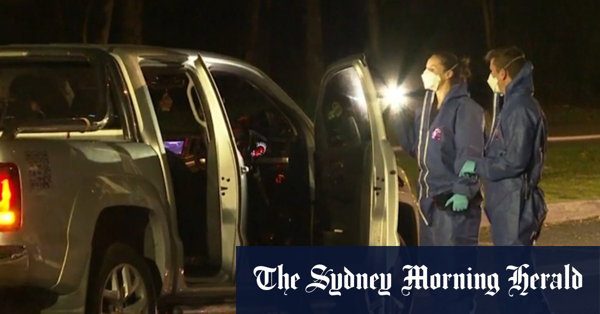 Man’s body found with multiple stab wounds in driveway of Sydney home