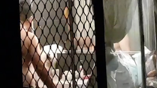 A screen-grab captured from a video of the man filmed striking the puppy with a stick. 