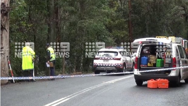 The crash scene on Nerang Murwillumbah Road in Natural Bridge on Friday.