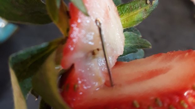 A photo of a contaminated strawberry posted to social media. 