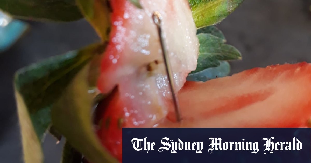 Strawberry worker faces four-week trial over 2018 needle crisis - Vimarsana News
