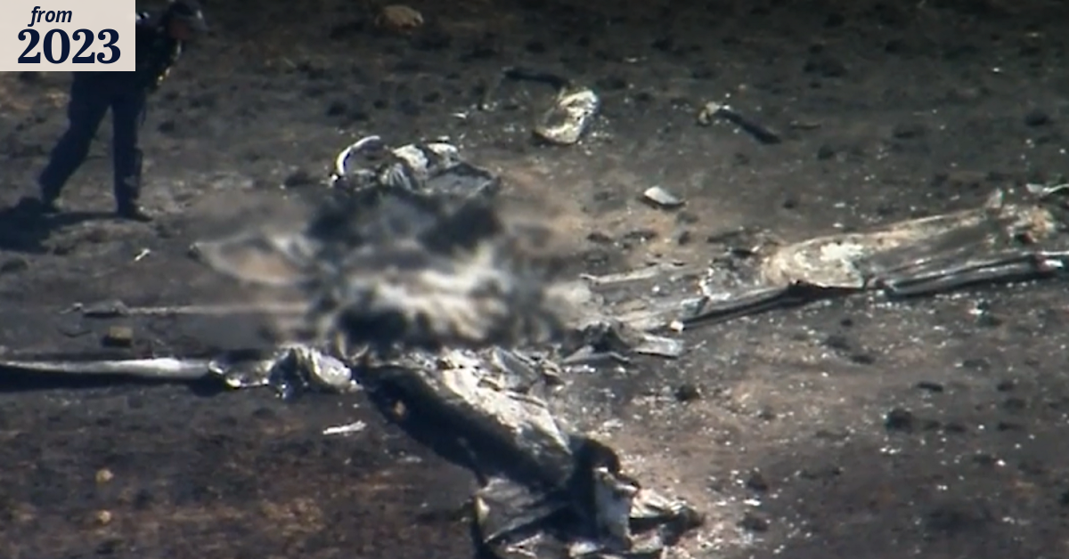 Pilot dies after light plane crashes in field